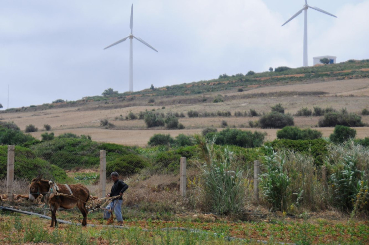 Wind turbine farm. Tunisia. Photo: Dana Smillie / World Bank
