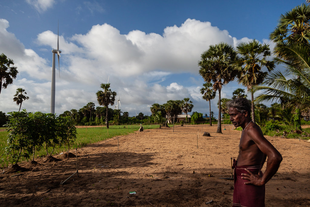 A beetroot farmer looks over his crops in North West Sri Lanka. This community of traditional farmers are still adjusting to the wind turbine farms and coal power plants that have been set up next to their village over the last few years.