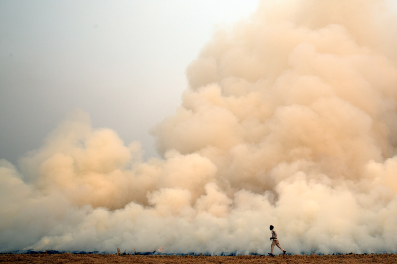 Thick smoke billowing into the sky from crop stubble burning in Faridkot, India - a farming practice to clear the land.